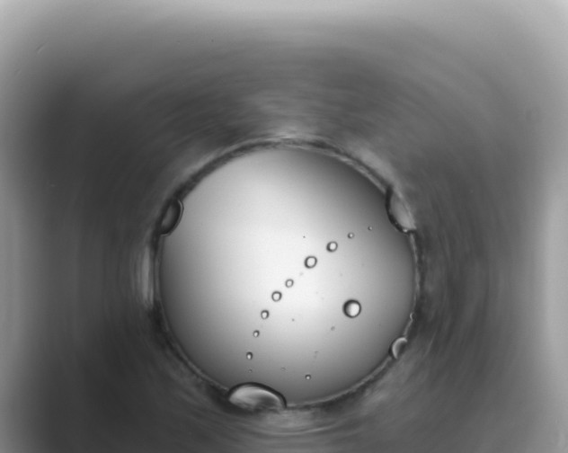 X0000089851171200707051109