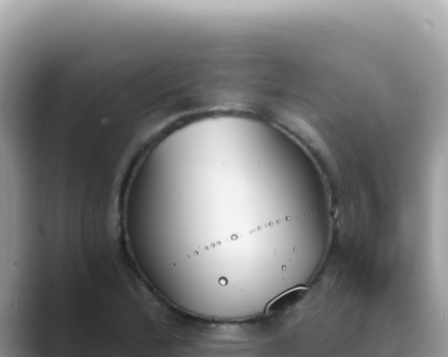 X0000089851172200707051109