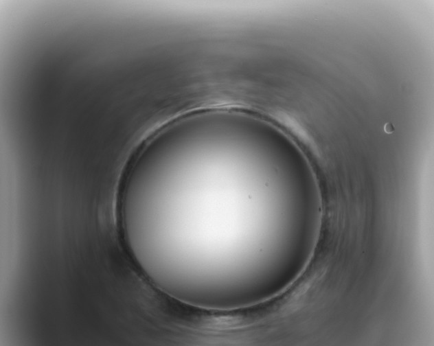 X0000089851173200707051109