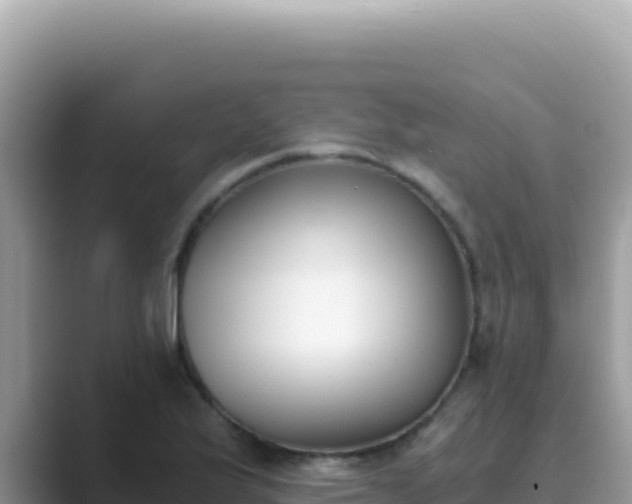 X0000089851175200707051109