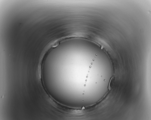 X0000089851180200707051109