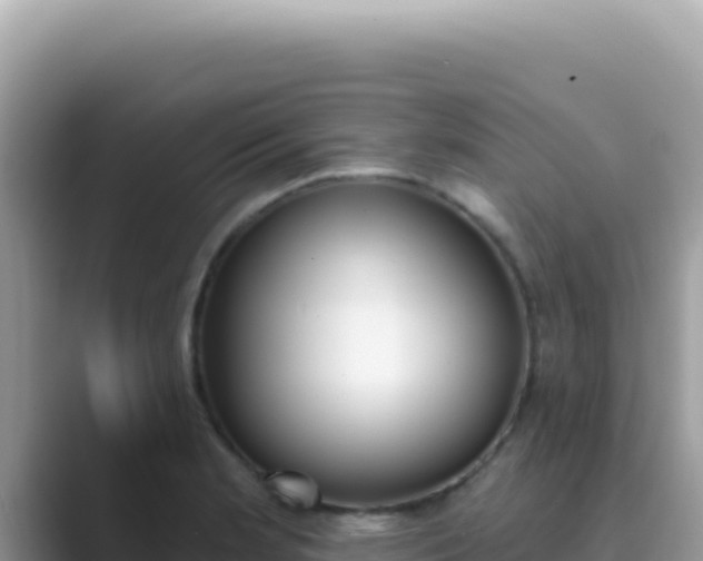 X0000089851181200707051109