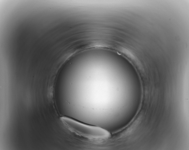 X0000089851185200707051109