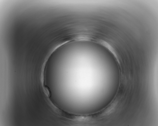 X0000089851195200707051109