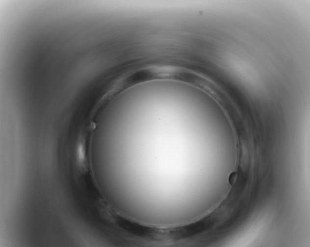X0000089851198200707051109