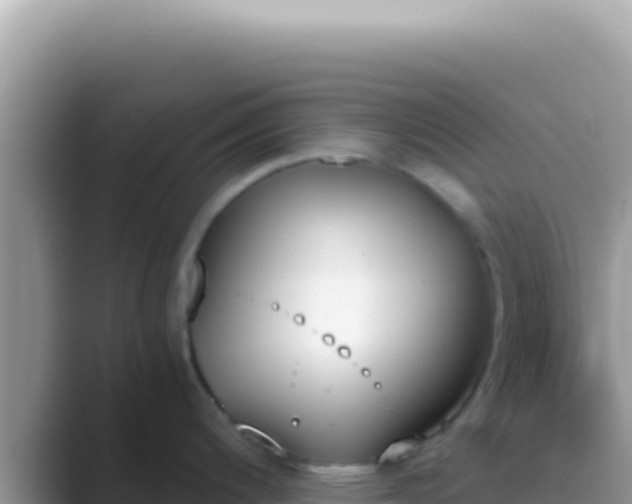 X0000089851200200707051109
