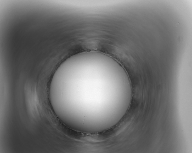 X0000089851201200707051109