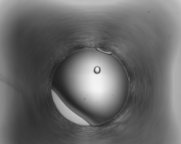 X0000089851202200707051109