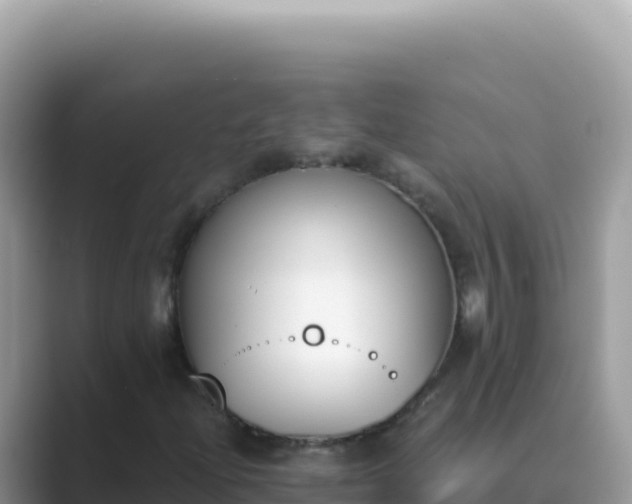 X0000089851204200707051109