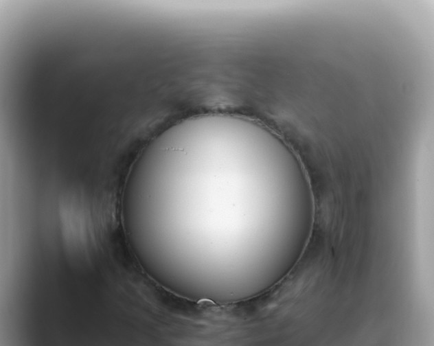 X0000089851205200707051109
