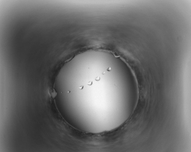 X0000089851206200707051109