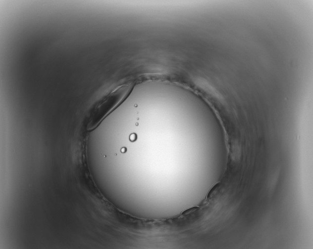 X0000089851208200707051109