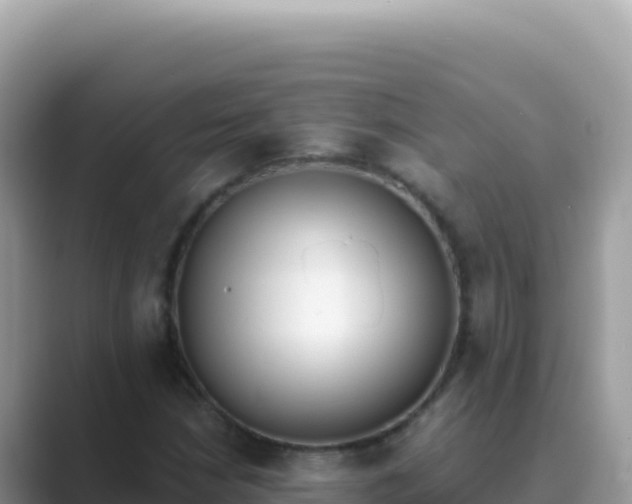 X0000089851210200707051109