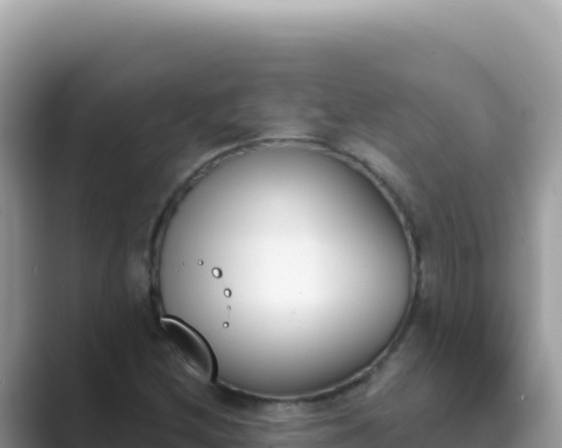 X0000089851212200707051109