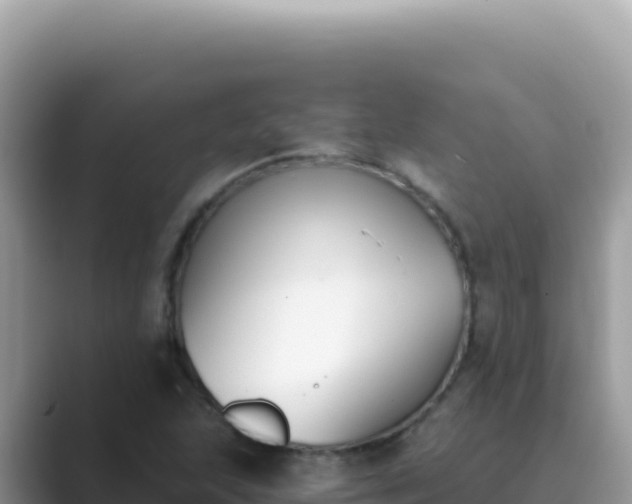 X0000089851215200707051109