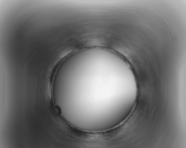 X0000089851219200707051109