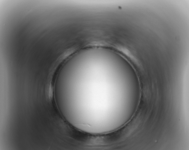 X0000089851221200707051109