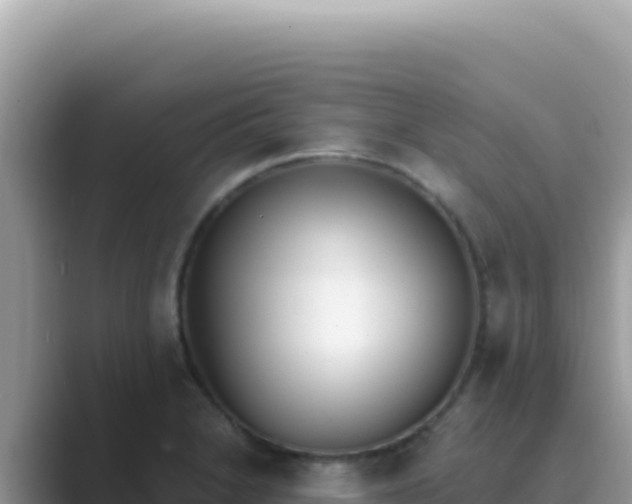 X0000089851230200707051109