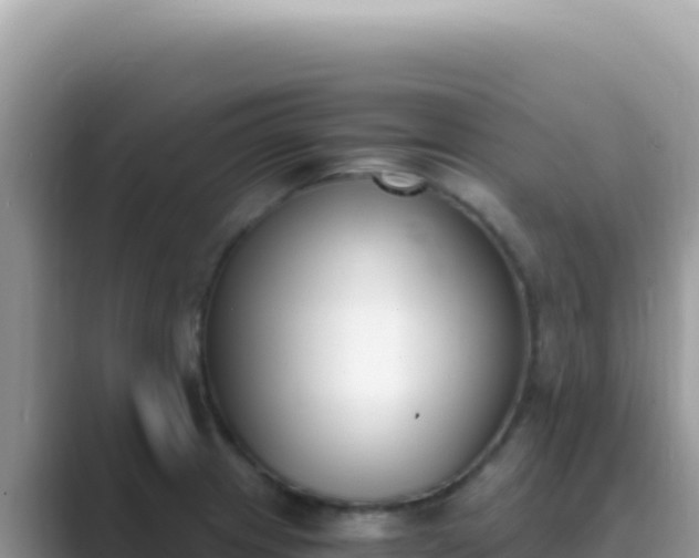 X0000089851233200707051109
