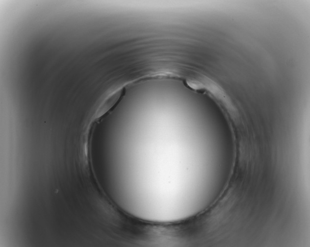 X0000089851234200707051109