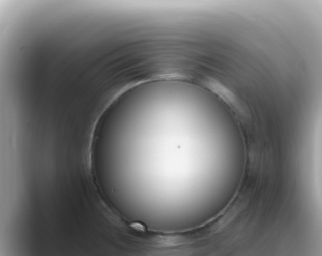 X0000089851236200707051109