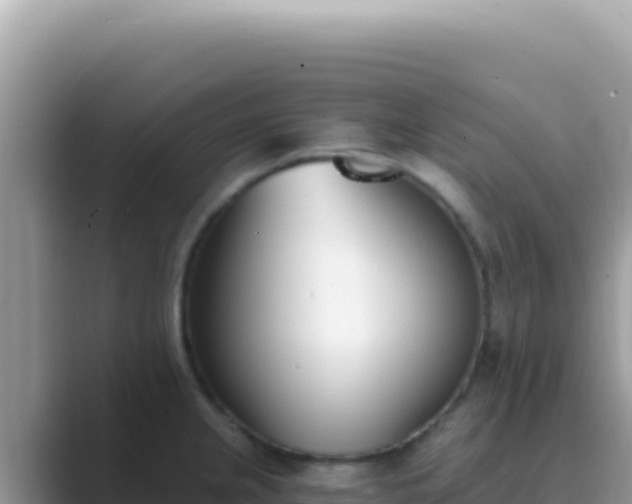 X0000089851237200707051109