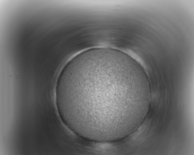 X0000089851239200707051109