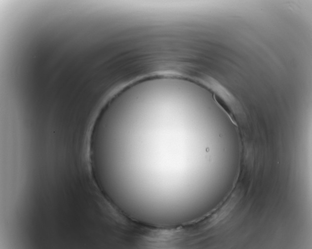 X0000089851240200707051109