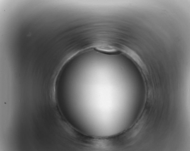 X0000089851242200707051109