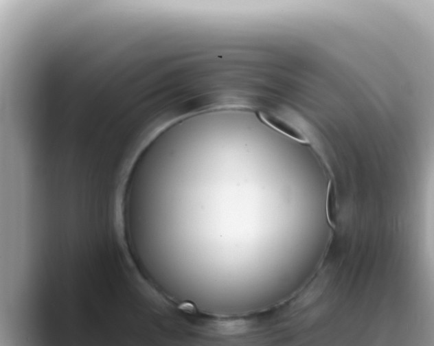 X0000089851243200707051109