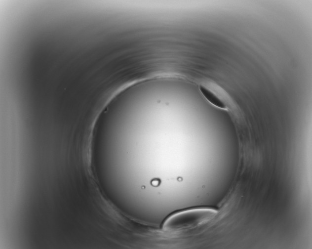X0000089851244200707051109