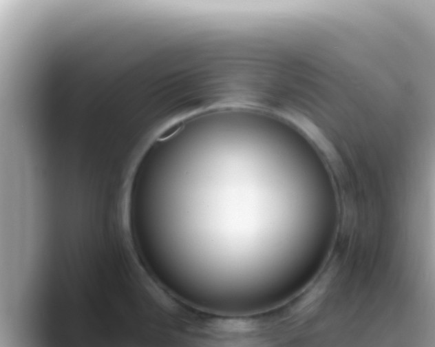 X0000089851246200707051109