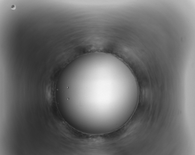 X0000089851250200707051108