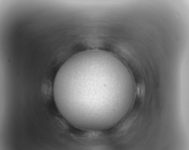 X0000089851251200707051108