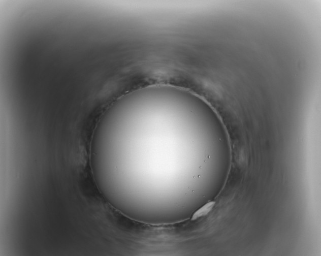 X0000089851253200707051108