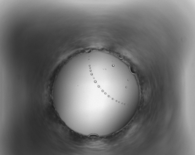 X0000089851256200707051108