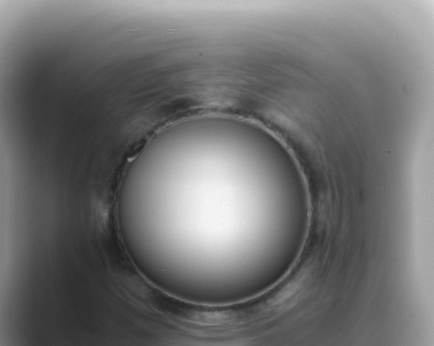 X0000089851257200707051108