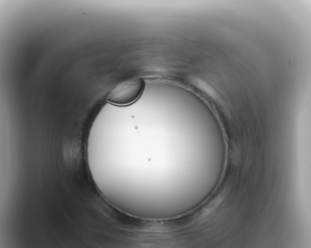 X0000089851259200707051108