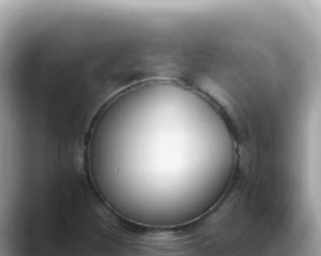 X0000089851260200707051108