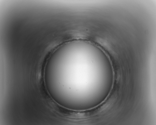 X0000089851261200707051108