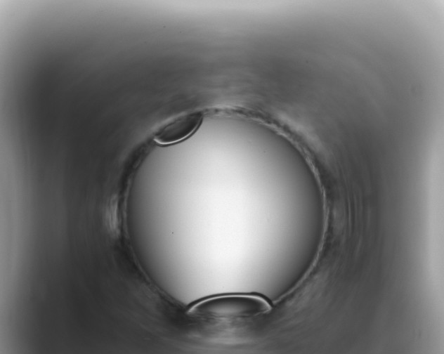 X0000089851262200707051108