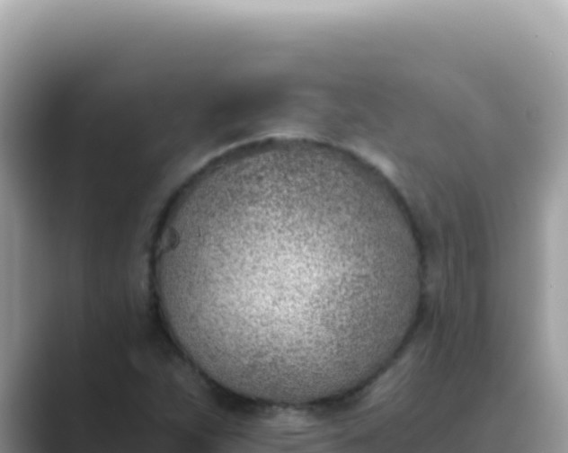 X0000089851263200707051108