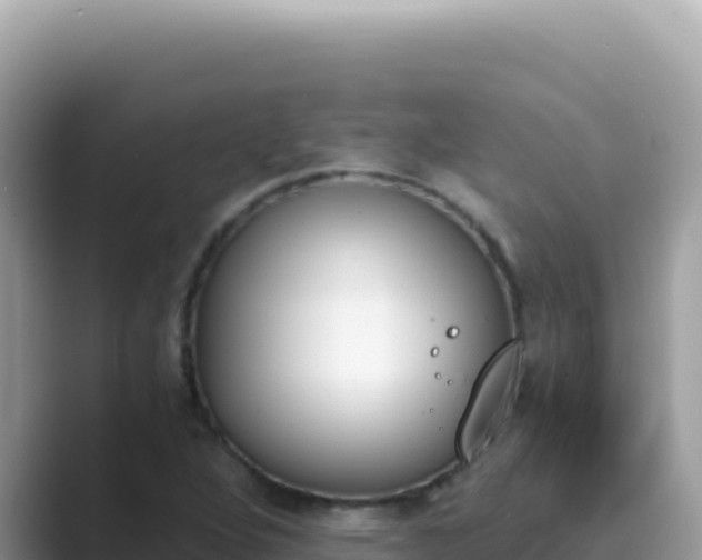 X0000089851264200707051108