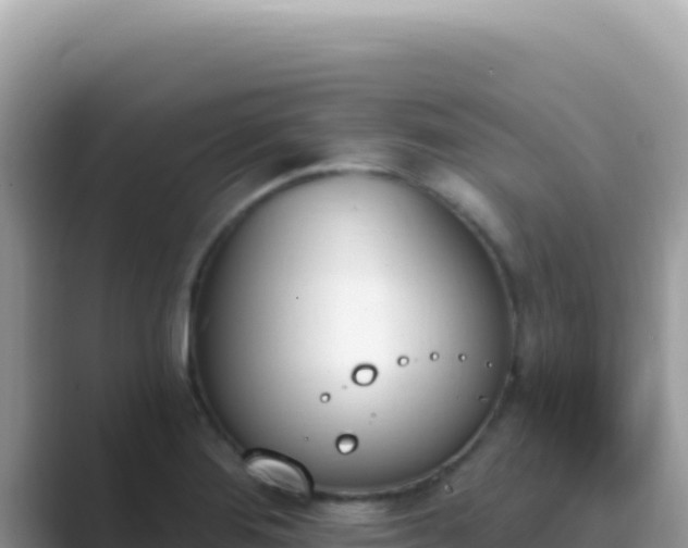 X0000089851276200707051108