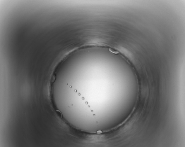 X0000089851277200707051108
