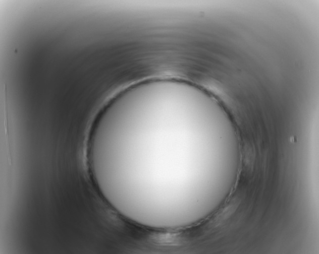 X0000089851278200707051108