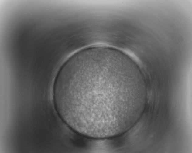 X0000089851279200707051108