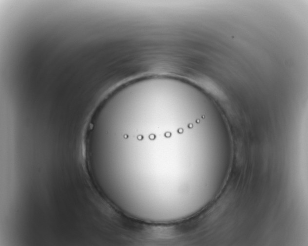 X0000089851280200707051108
