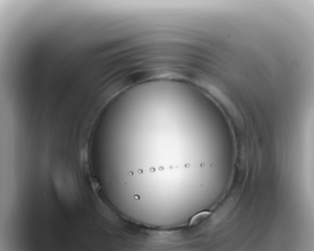 X0000089851281200707051108