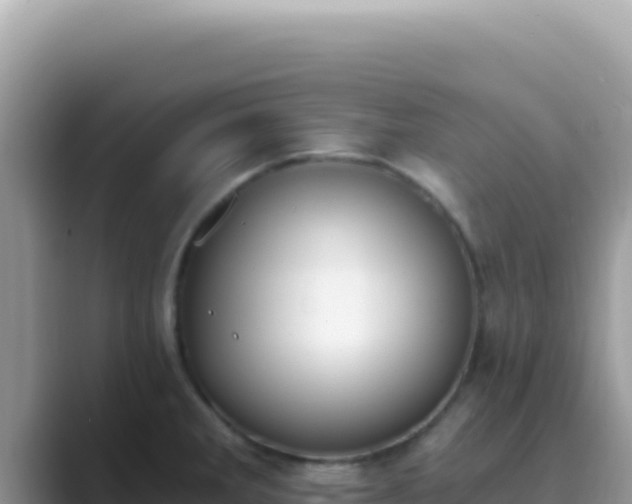 X0000089851285200707051108
